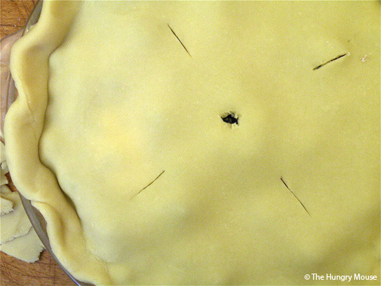 Basic Cooking: How to Make a Blueberry Pie at The Hungry Mouse