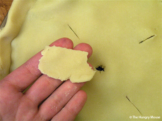Basic Cooking: How to Make a Blueberry Pie at The Hungry Mouse