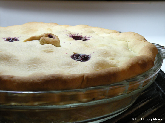 Basic Cooking: How to Make a Blueberry Pie at The Hungry Mouse