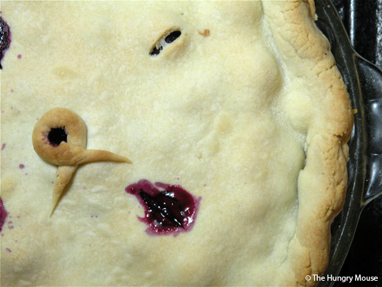 Basic Cooking: How to Make a Blueberry Pie at The Hungry Mouse