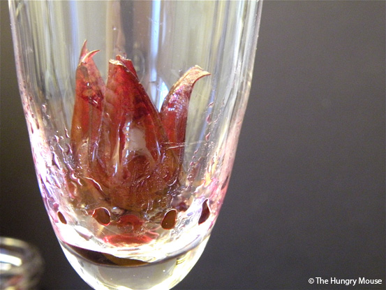 Blooming Champagne Cocktail with Wild Hibiscus at The Hungry Mouse