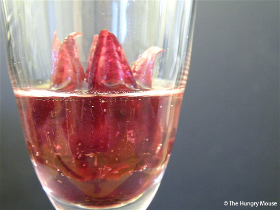 Blooming Champagne Cocktail with Wild Hibiscus at The Hungry Mouse