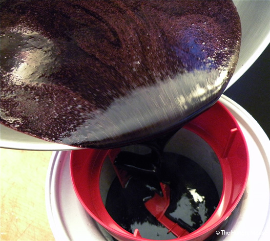 Blackberry Sorbet at The Hungry Mouse