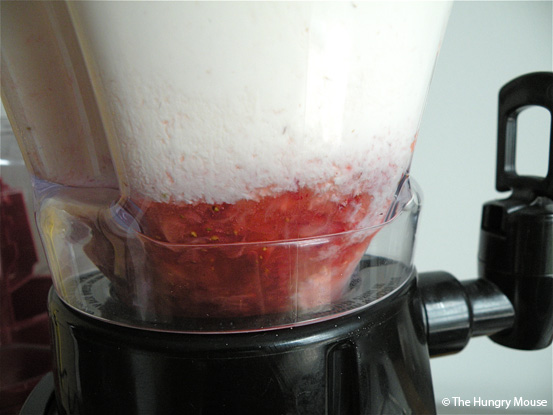No-Cook Strawberry Ice Cream at The Hungry Mouse