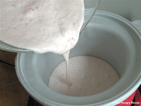 No-Cook Strawberry Ice Cream at The Hungry Mouse