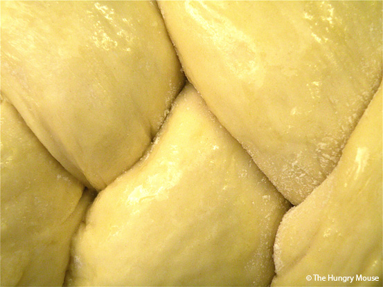 DSCN0964 DSCN0964