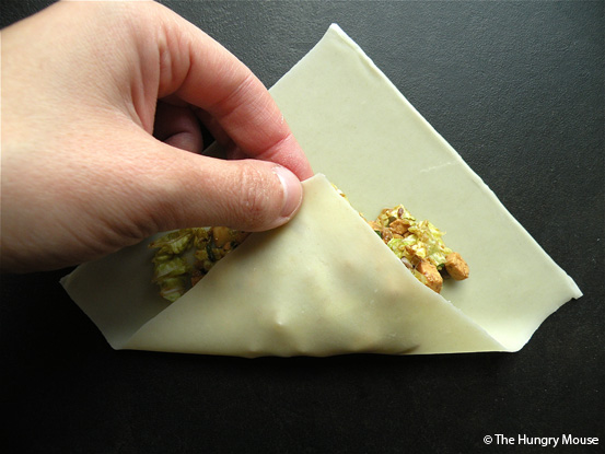 Spring Rolls at The Hungry Mouse