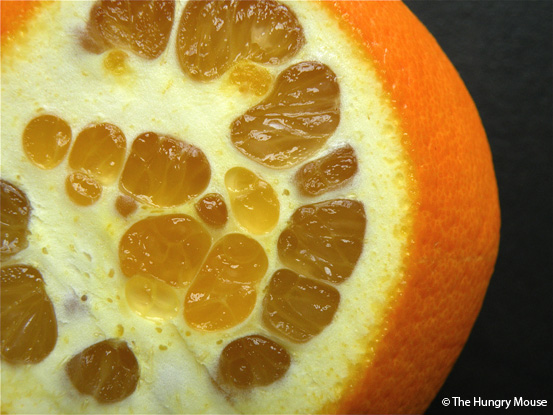 How to Make Candied Fruit Peel at The Hungry Mouse