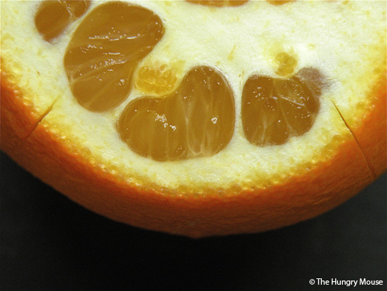 How to Make Candied Fruit Peel at The Hungry Mouse