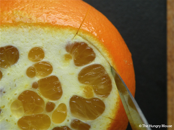 How to Make Candied Fruit Peel at The Hungry Mouse