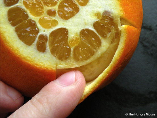 How to Make Candied Fruit Peel at The Hungry Mouse