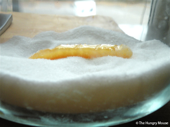 How to Make Candied Fruit Peel at The Hungry Mouse
