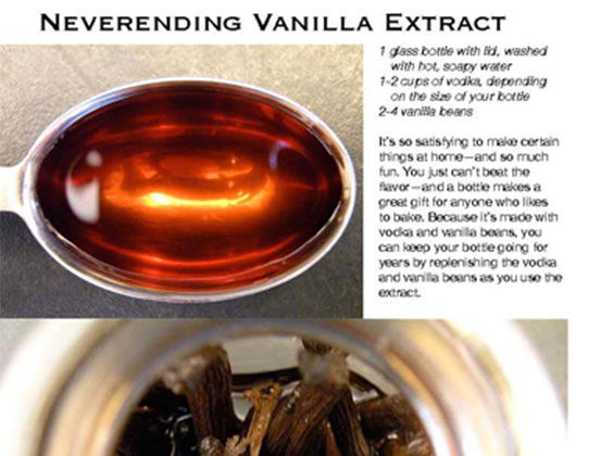 The-Hungry-Mouse-Vanilla-Extract-Recipe