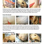 Perfect Roast Duck, page 2