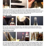 Neverending Vanilla Extract, page 2