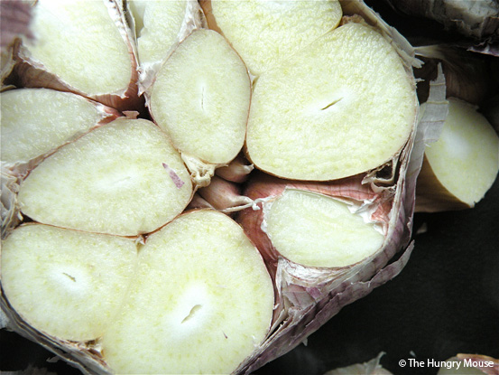 head-of-garlic