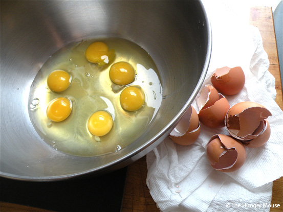 eggs and shells eggs and shells