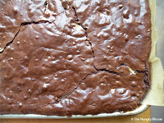 brownies hot out of the oven brownies hot out of the oven