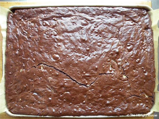 big pan of brownies big pan of brownies