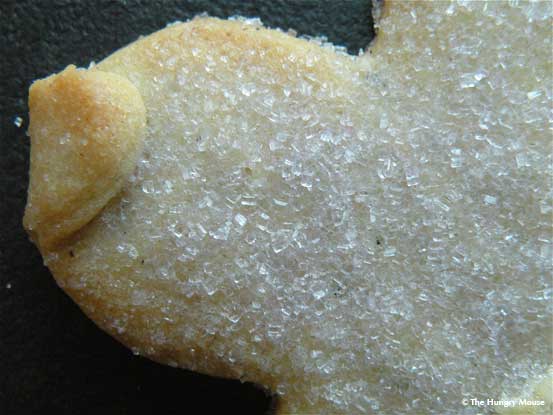 close up starfish cookie close up starfish cookie