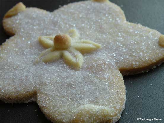flat starfish cookie flat starfish cookie