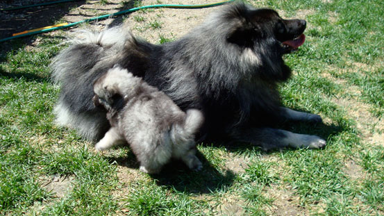 penelope-and-dexter-2
