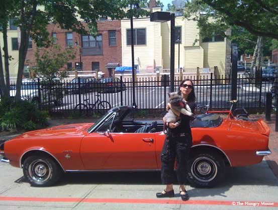 guy fieri and the hungry mouse 4
