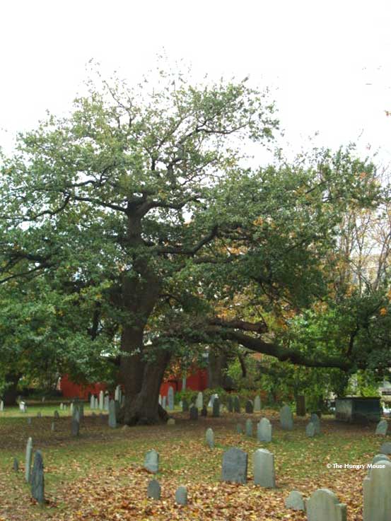 DSC02599