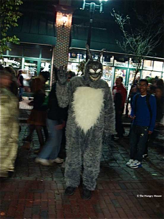 DSC02750