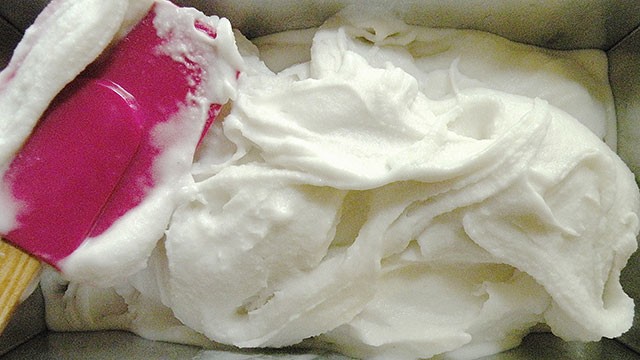 3-Ingredient-Coconut-Ice-Cream-The-Hungry-Mouse