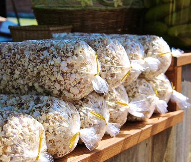 Kettle-Corn-The-Hungry-Mouse-Fourth-of-July-Salem-MA