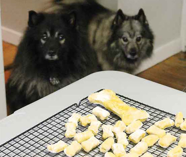The-Hungry-Mouse-Homemade-Pumpkin-Dog-Biscuits